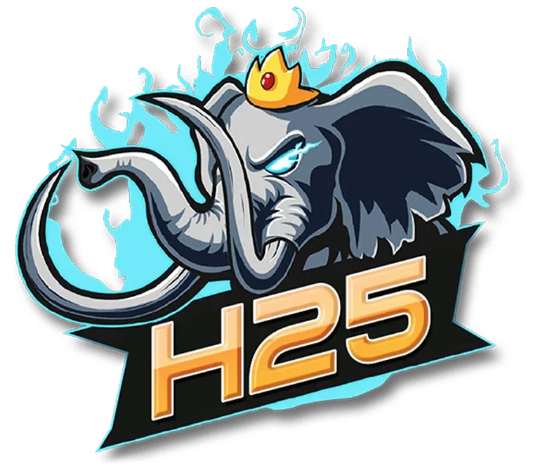h25เว็บ-logo